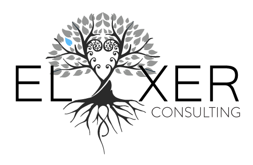 Elyxer Consulting
